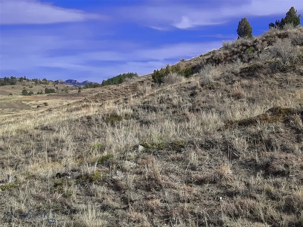 0 Davis Road Miles City MT 59301