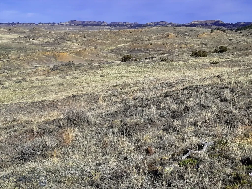 0 Davis Road Miles City MT 59301