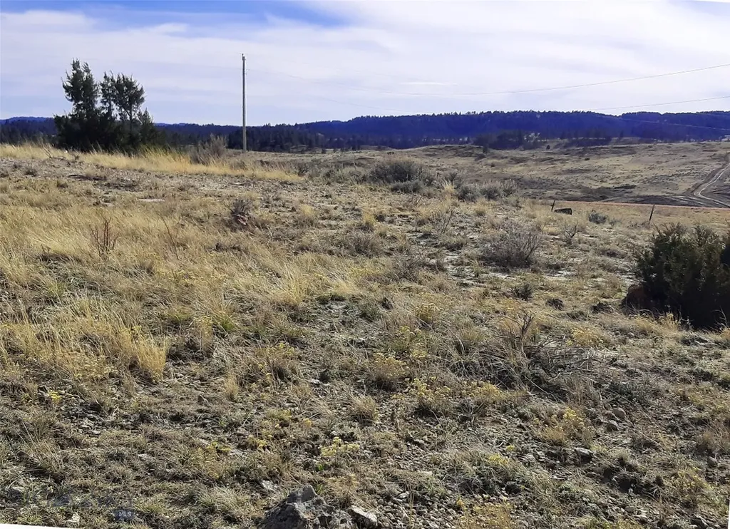 0 Davis Road Miles City MT 59301