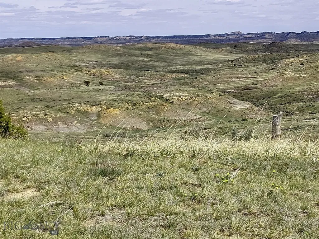 0 Davis Road Miles City MT 59301