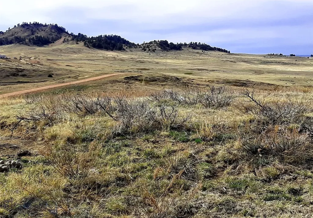 0 Davis Road Miles City MT 59301