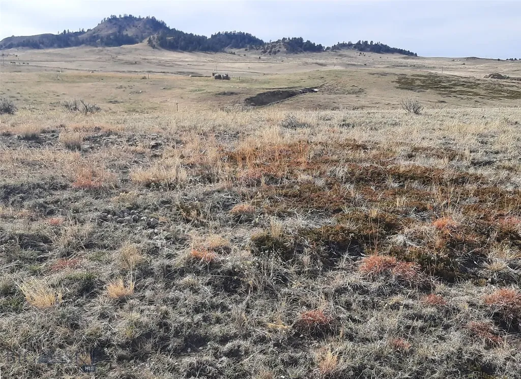 0 Davis Road Miles City MT 59301