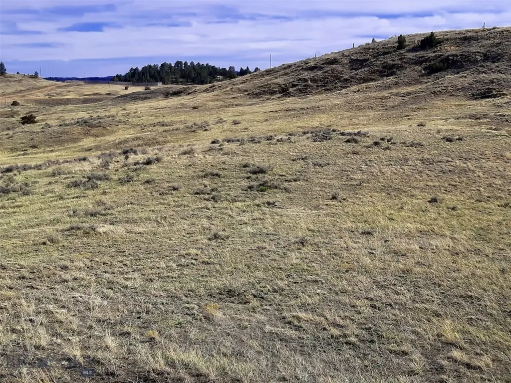 0 Davis Road Miles City MT 59301