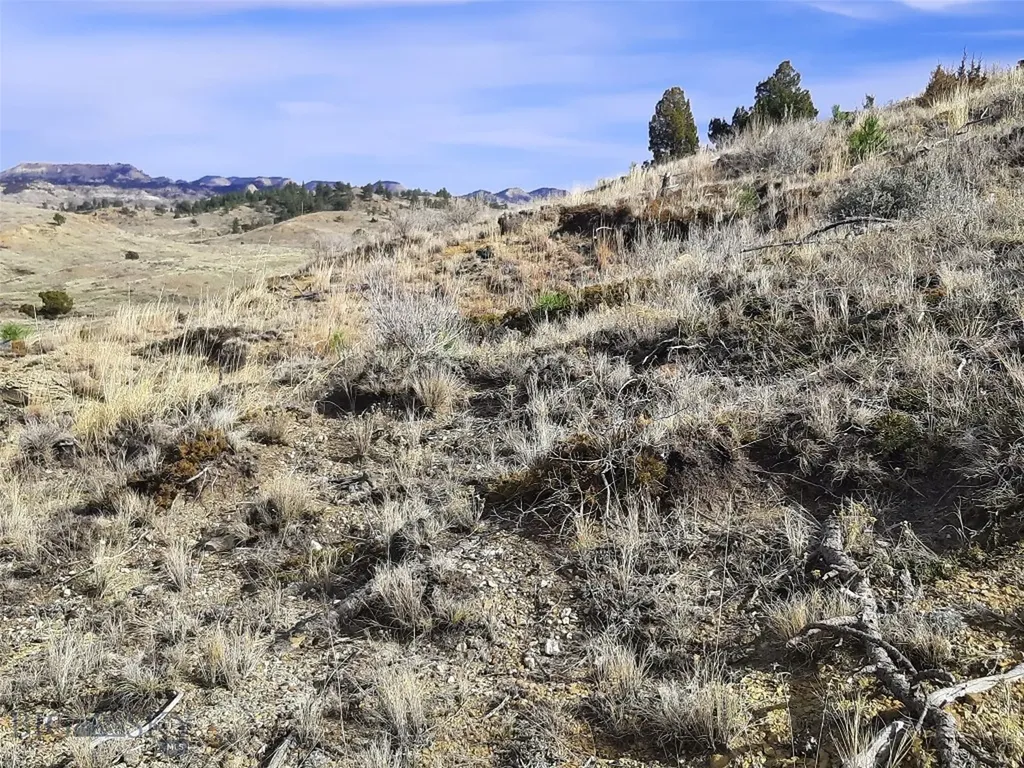 0 Davis Road Miles City MT 59301