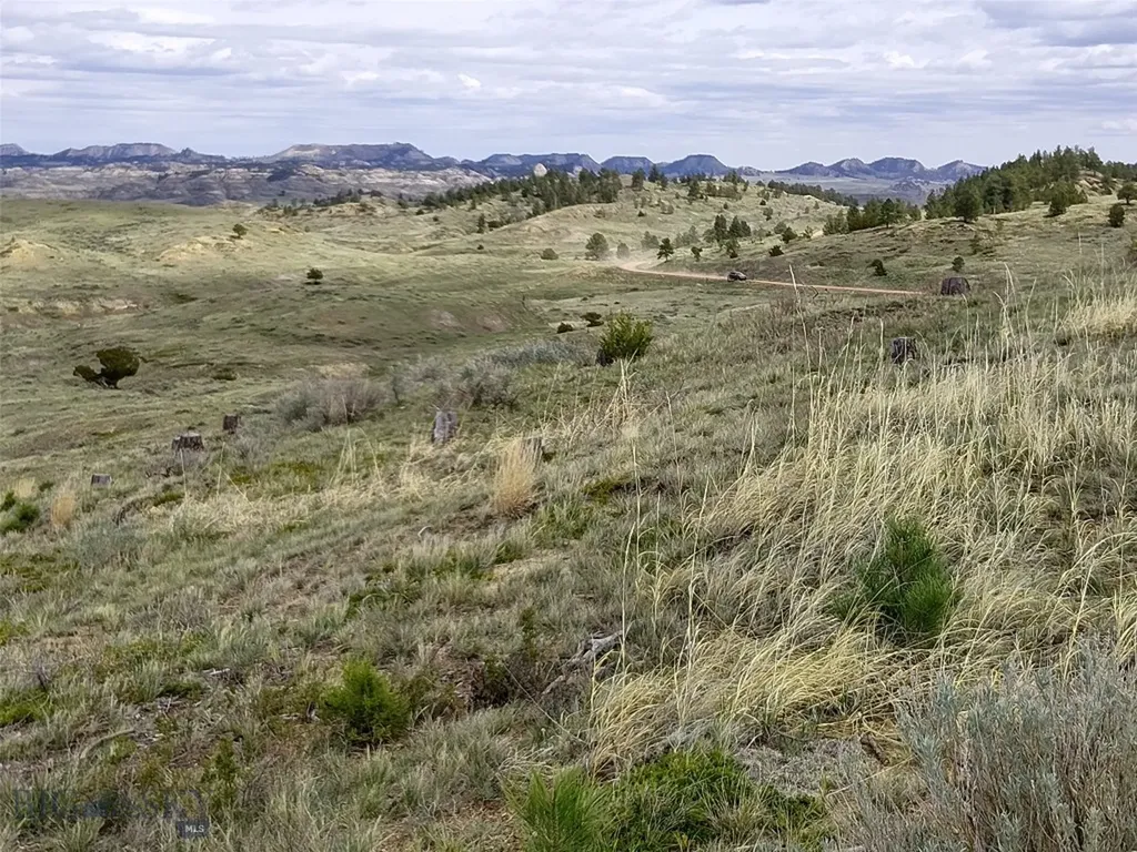 0 Davis Road Miles City MT 59301