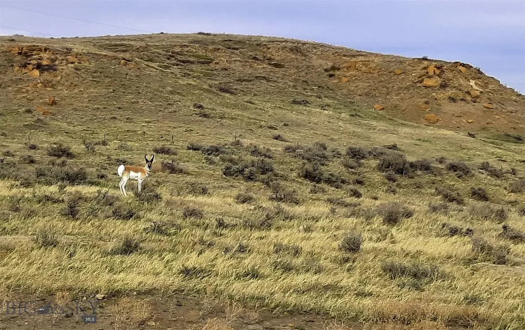 0 Davis Road Miles City MT 59301