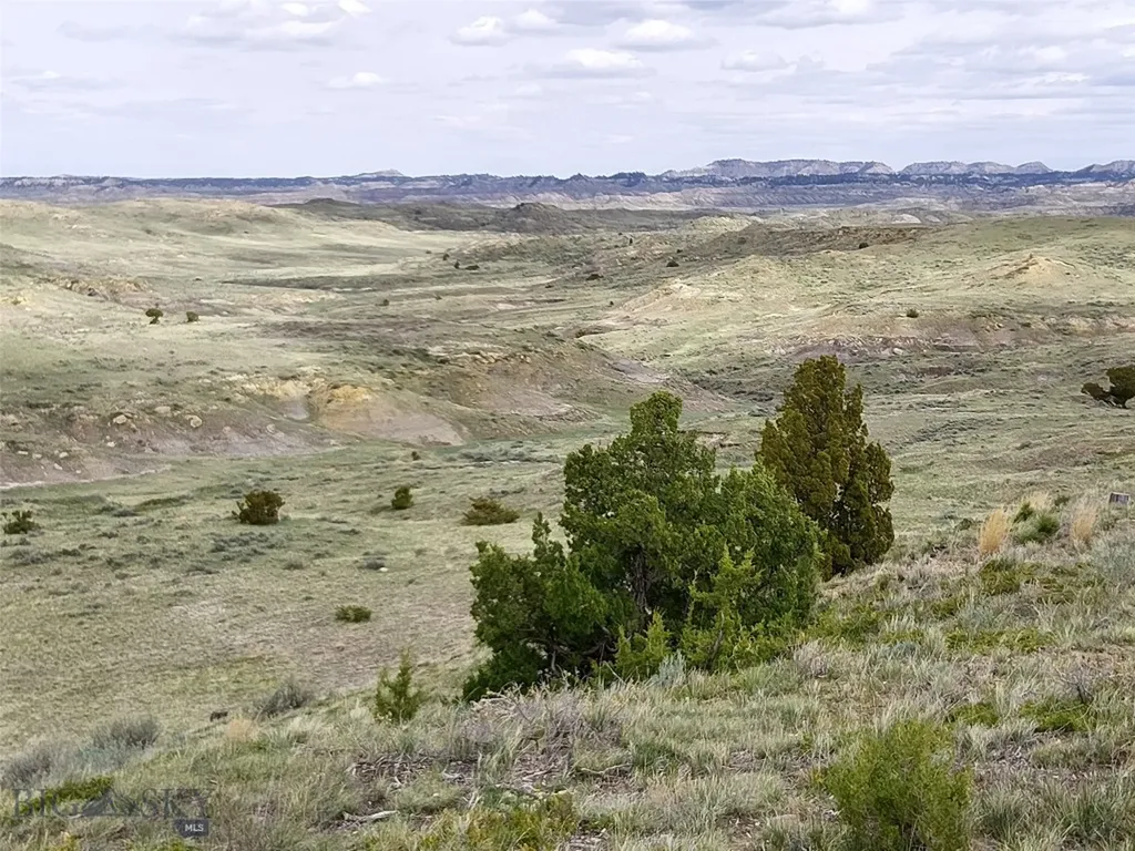 0 Davis Road Miles City MT 59301