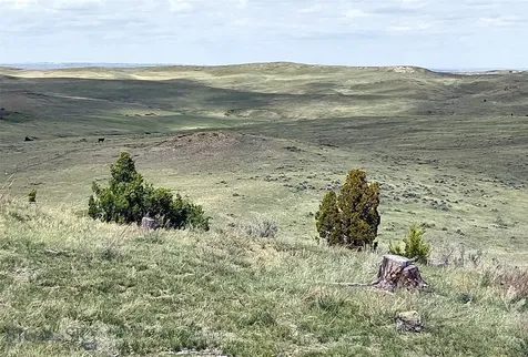 0 Davis Road Miles City MT 59301