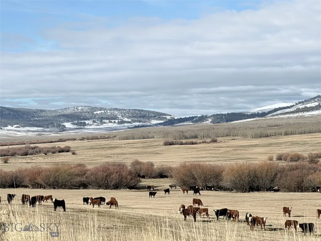 Tbd Meadow Lake Lane Polaris MT 59746