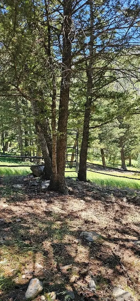 1105 South Boulder Road Cardwell MT 59721