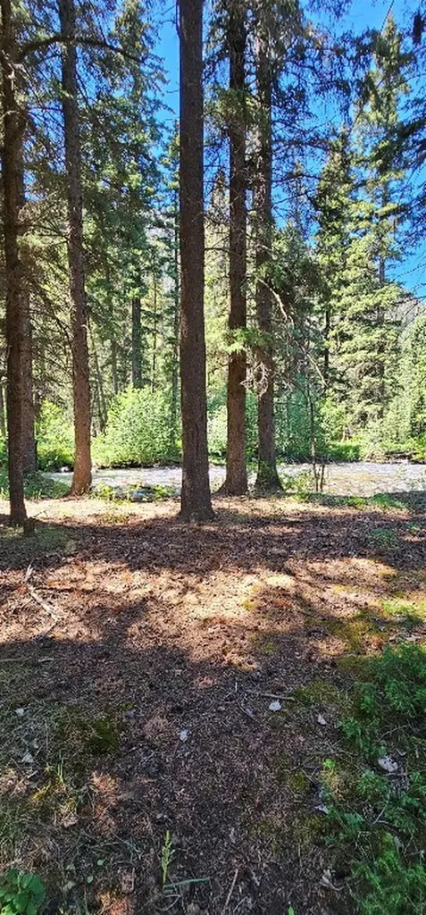 1105 South Boulder Road Cardwell MT 59721