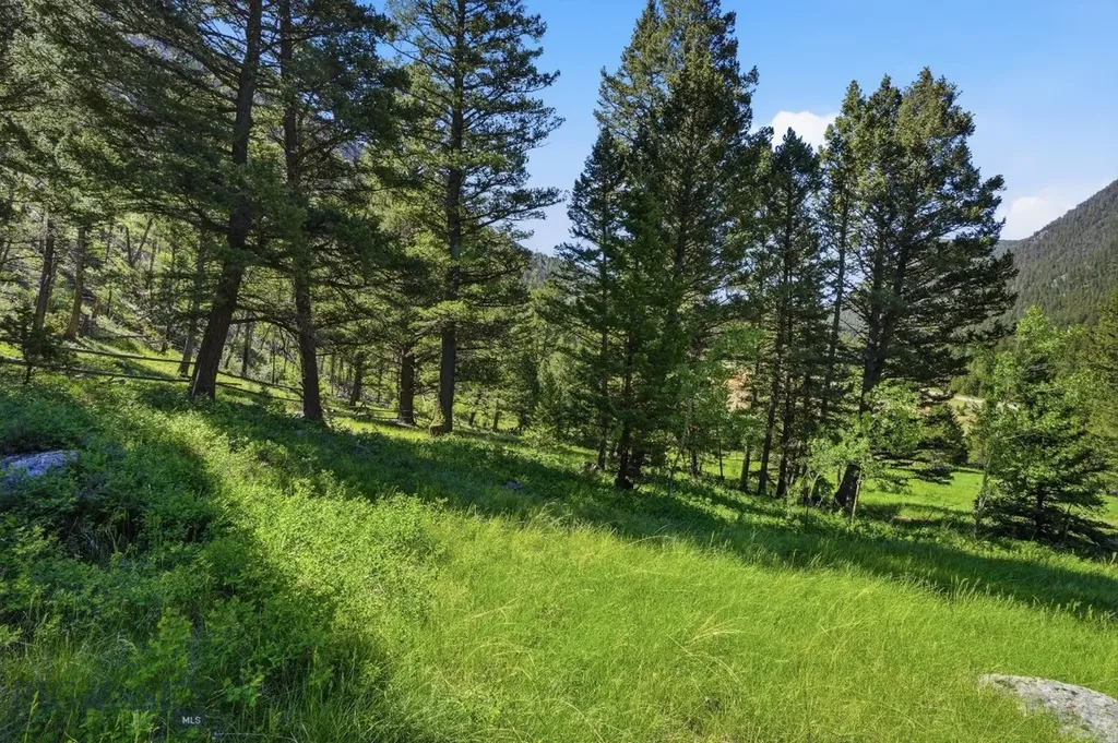 1105 South Boulder Road Cardwell MT 59721