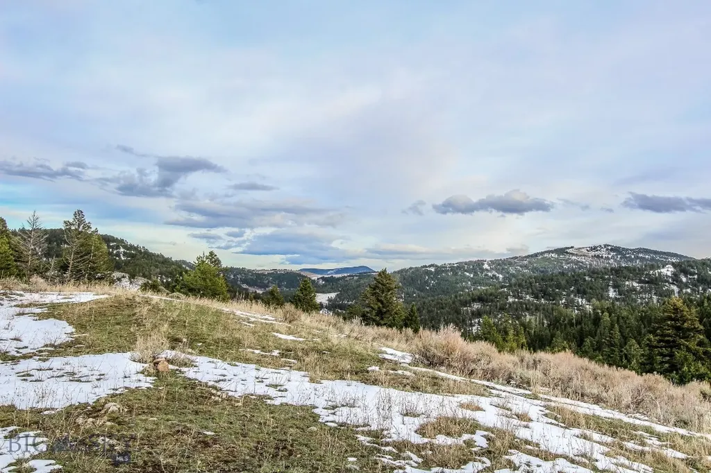 Bozeman MT 59715