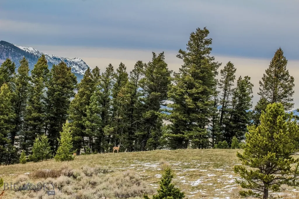 Bozeman MT 59715