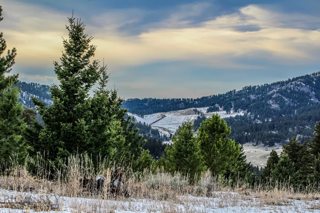 Bozeman MT 59715