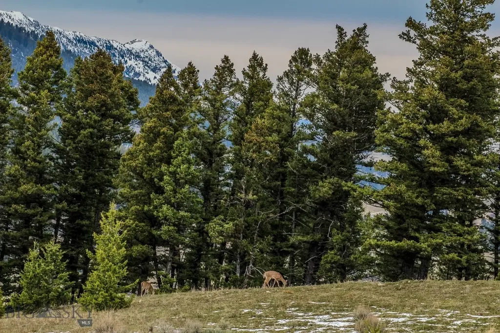 Bozeman MT 59715