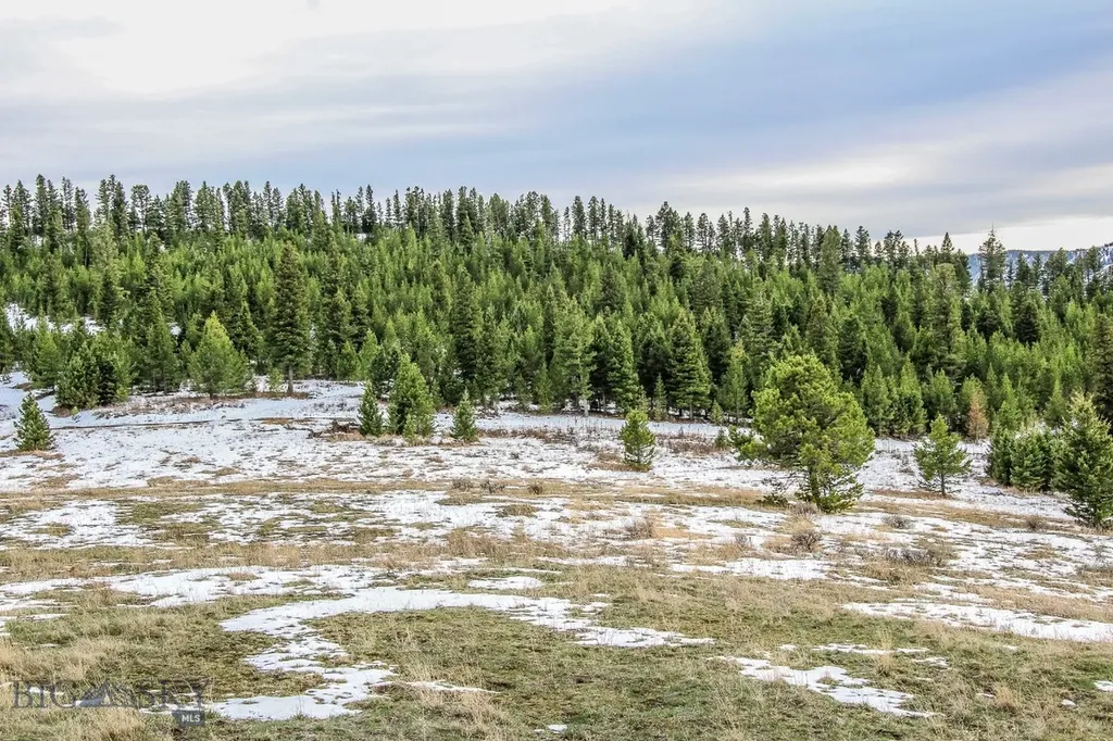 Bozeman MT 59715