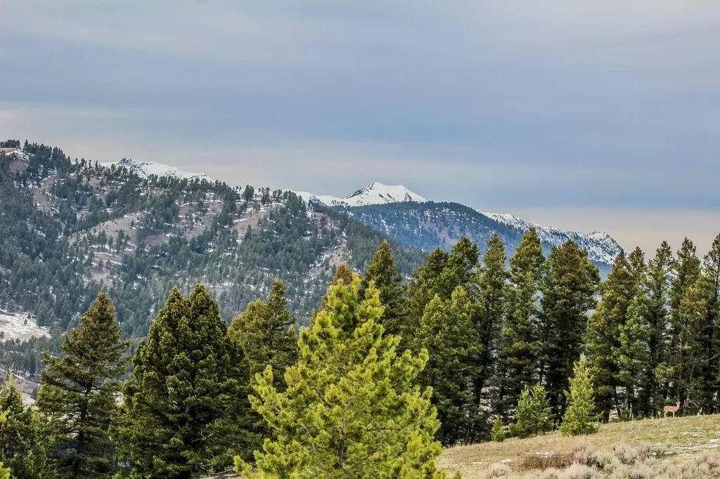 Bozeman MT 59715