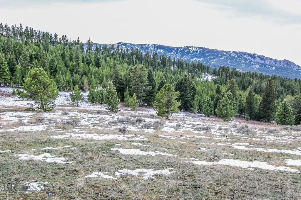 Bozeman MT 59715