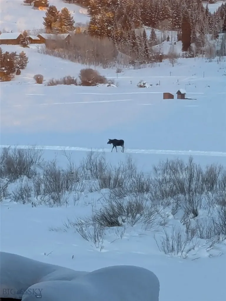 2225 Black Otter Road Big Sky MT 59716
