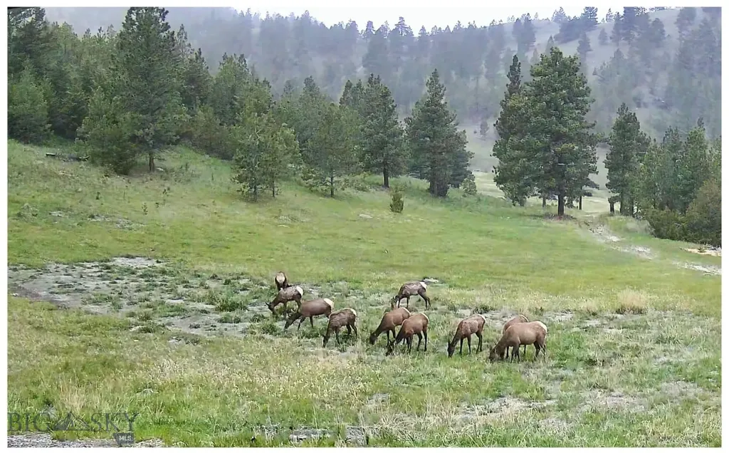 4915 W Us Highway 12 Helena MT 59601
