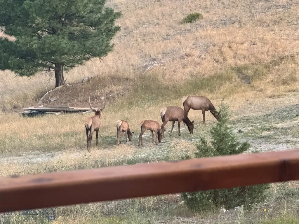 4915 W Us Highway 12 Helena MT 59601