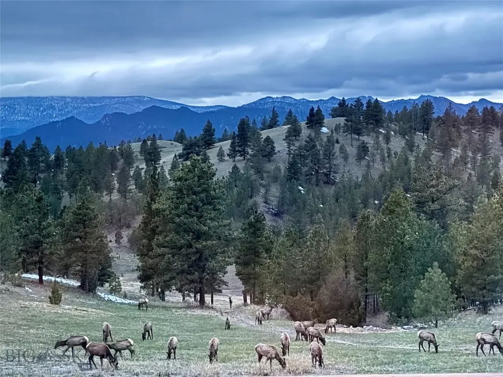 4915 W Us Highway 12 Helena MT 59601