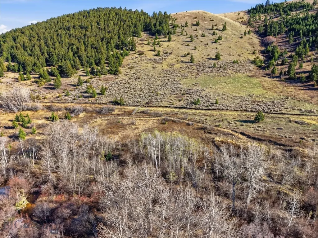 Tbd Pony Original Townsite Pony MT 59747