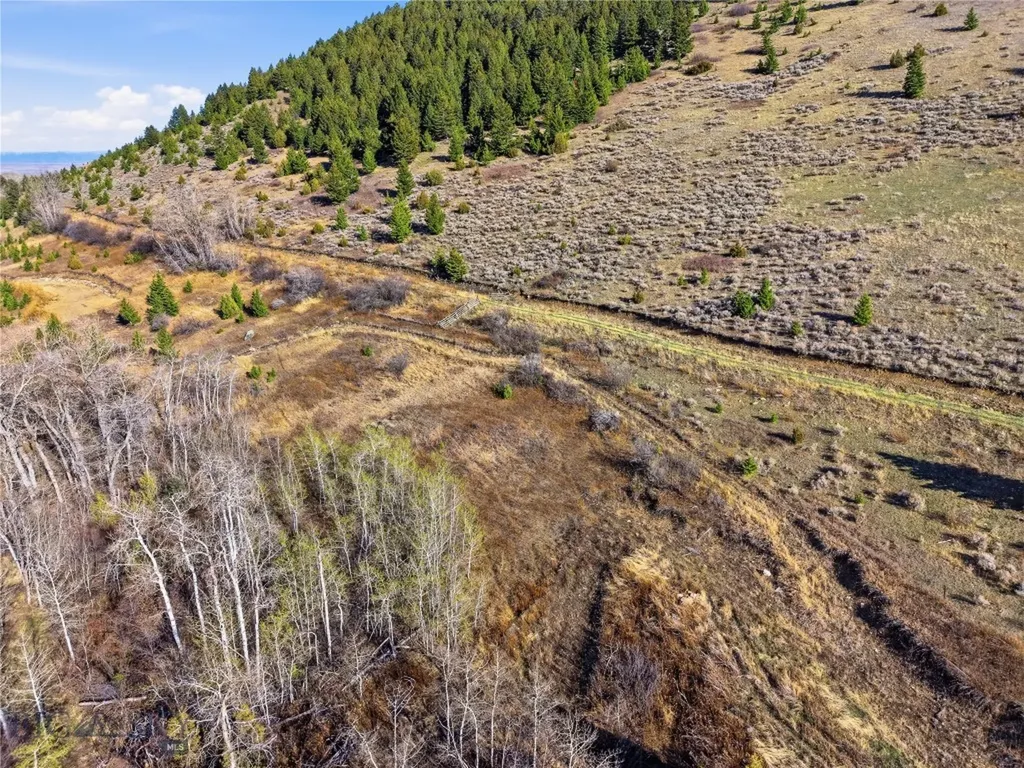 Tbd Pony Original Townsite Pony MT 59747