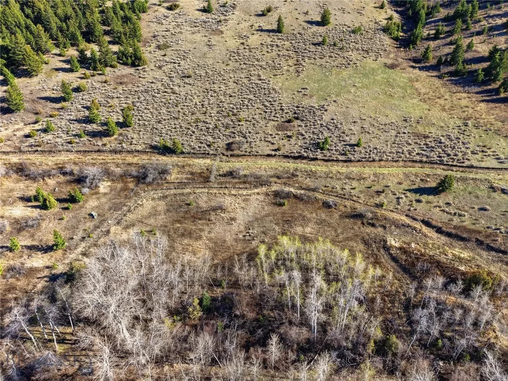 Tbd Pony Original Townsite Pony MT 59747