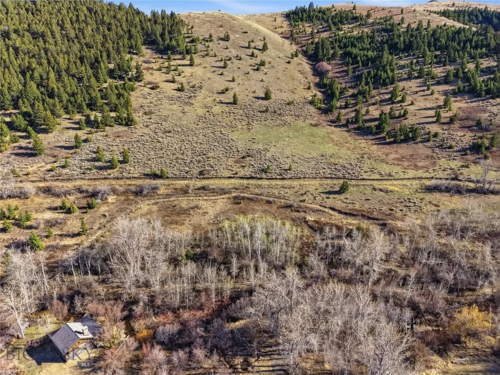 Tbd Pony Original Townsite Pony MT 59747