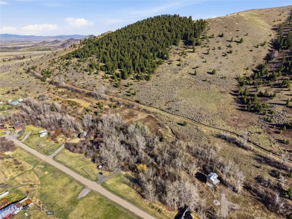 Tbd Pony Original Townsite Pony MT 59747