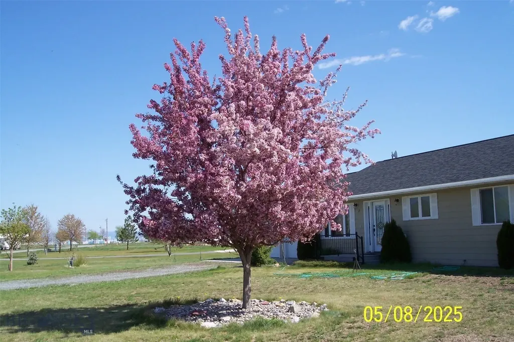 13 Sharon Loop Townsend MT 59644