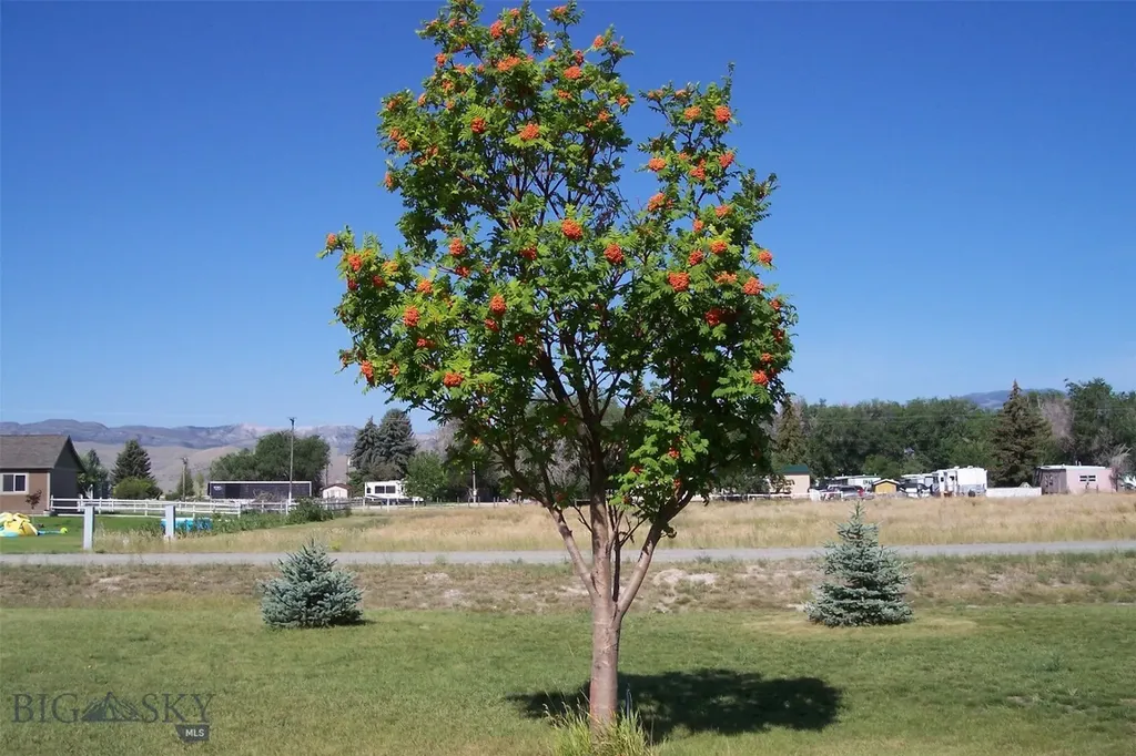 13 Sharon Loop Townsend MT 59644