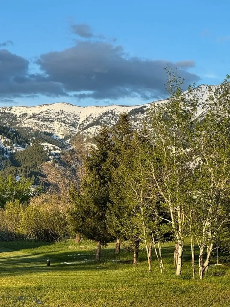 3227 Shooting Star Lane Bozeman MT 59715