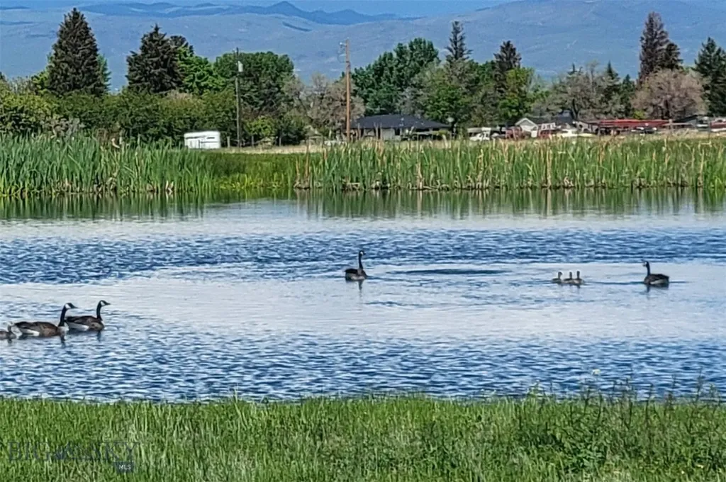 2 Hawk's Court Sheridan MT 59749