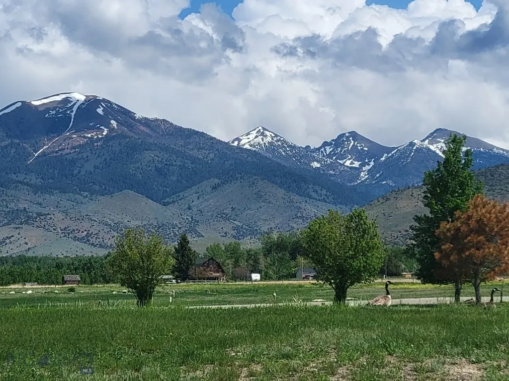 2 Hawk's Court Sheridan MT 59749