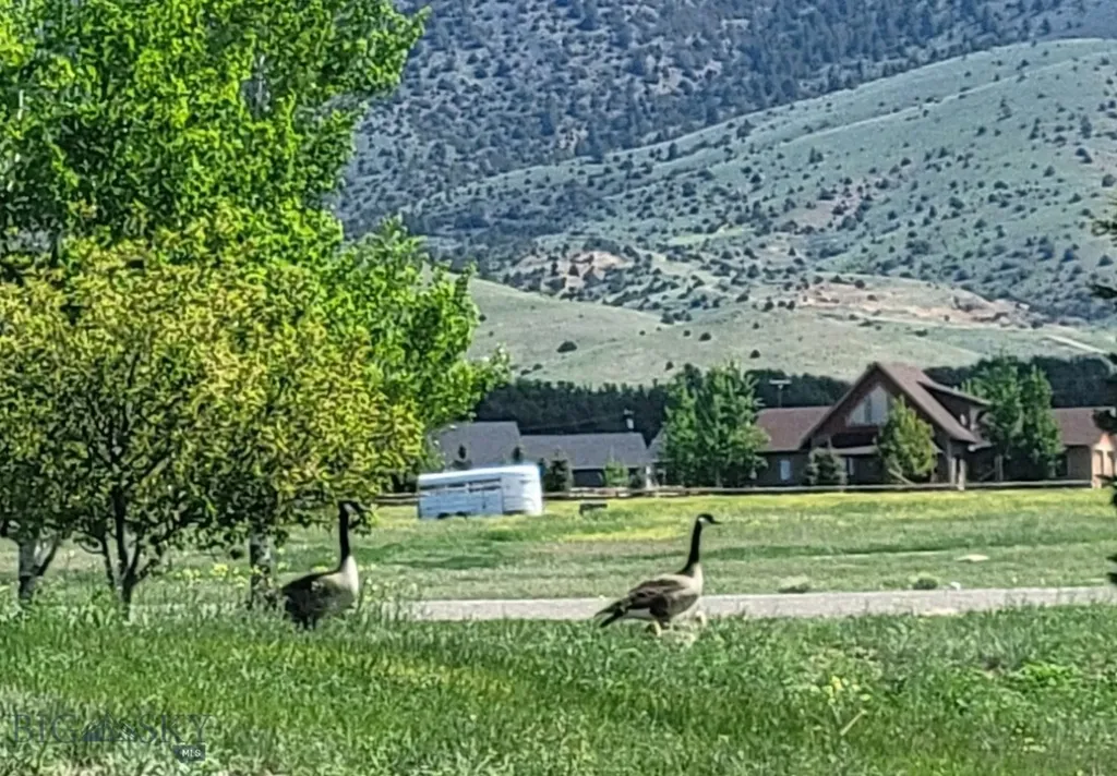 2 Hawk's Court Sheridan MT 59749