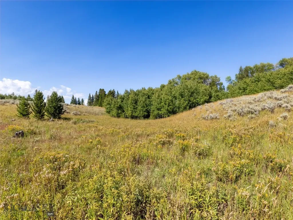 Lot 32 Sun West Ranch Cameron MT 59720