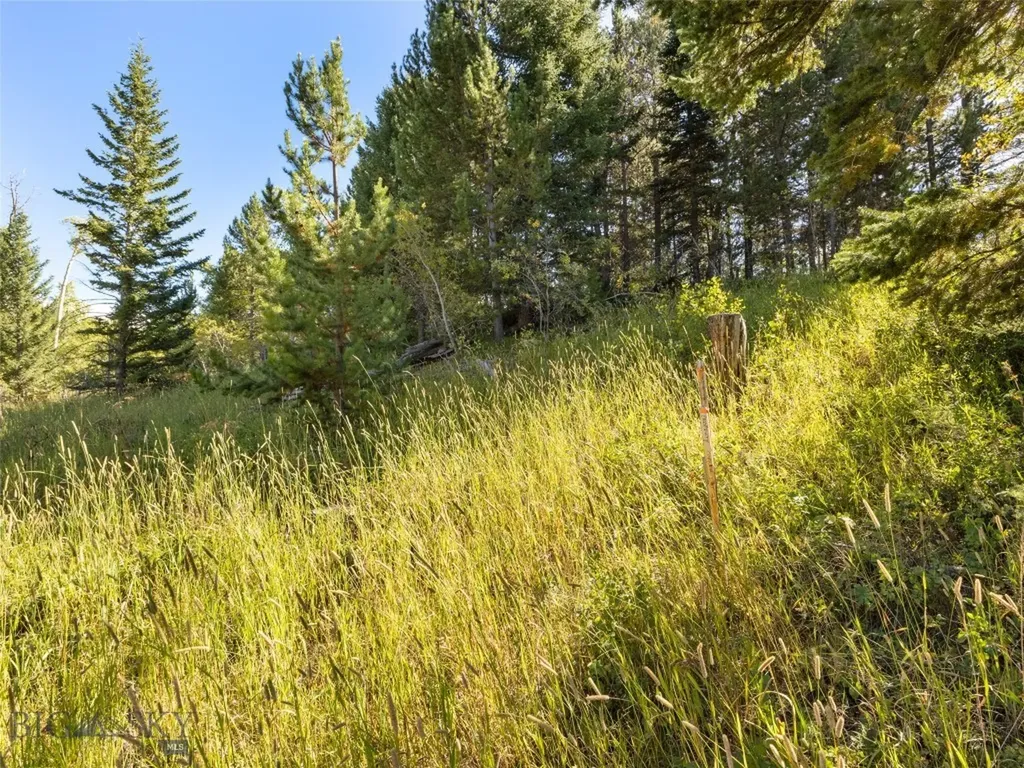 Lot 32 Sun West Ranch Cameron MT 59720