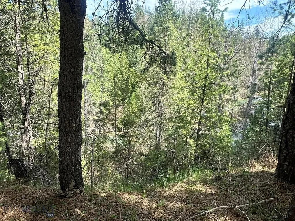 Trout Creek MT 59874