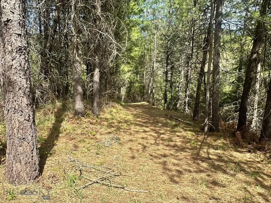Trout Creek MT 59874