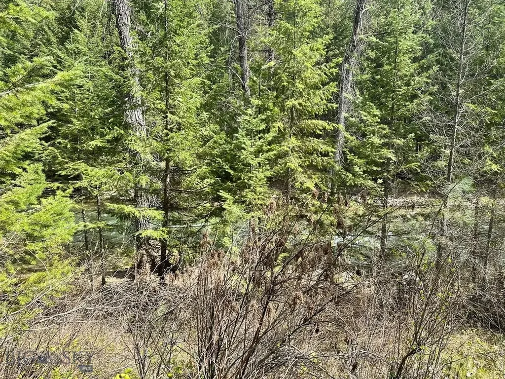 Trout Creek MT 59874