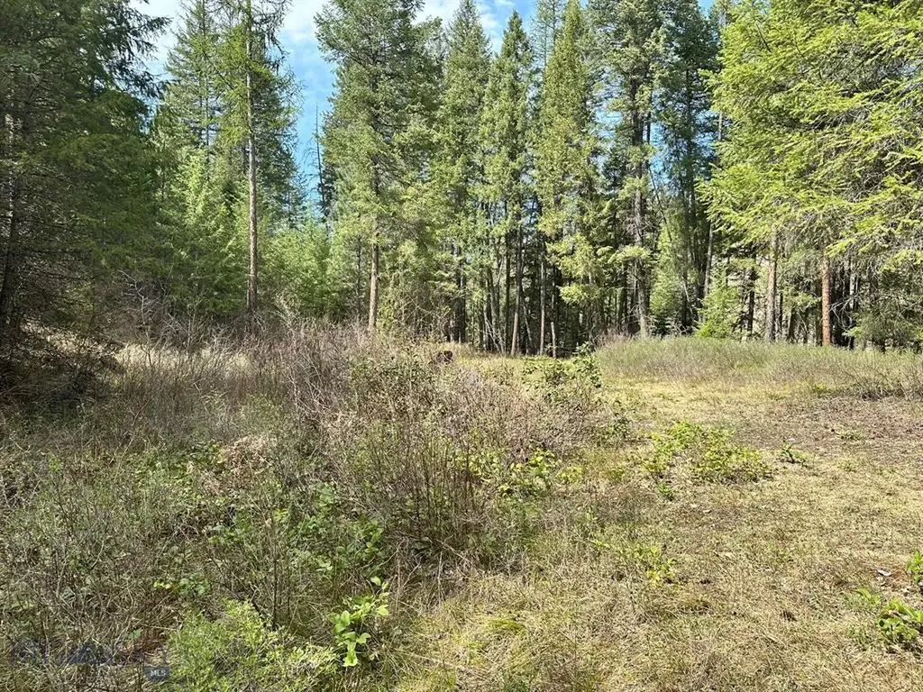 Trout Creek MT 59874
