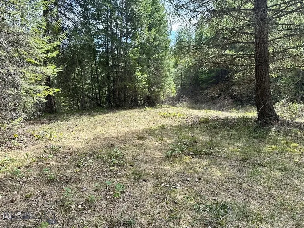Trout Creek MT 59874