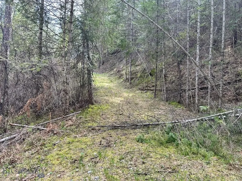 Trout Creek MT 59874