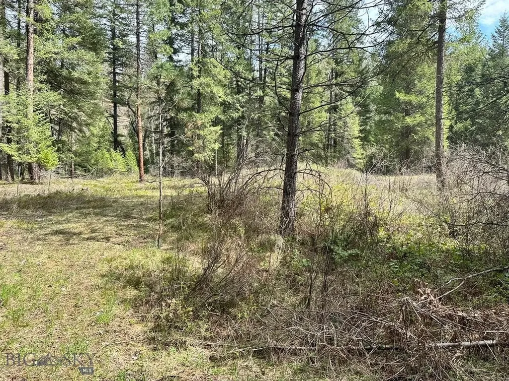 Trout Creek MT 59874