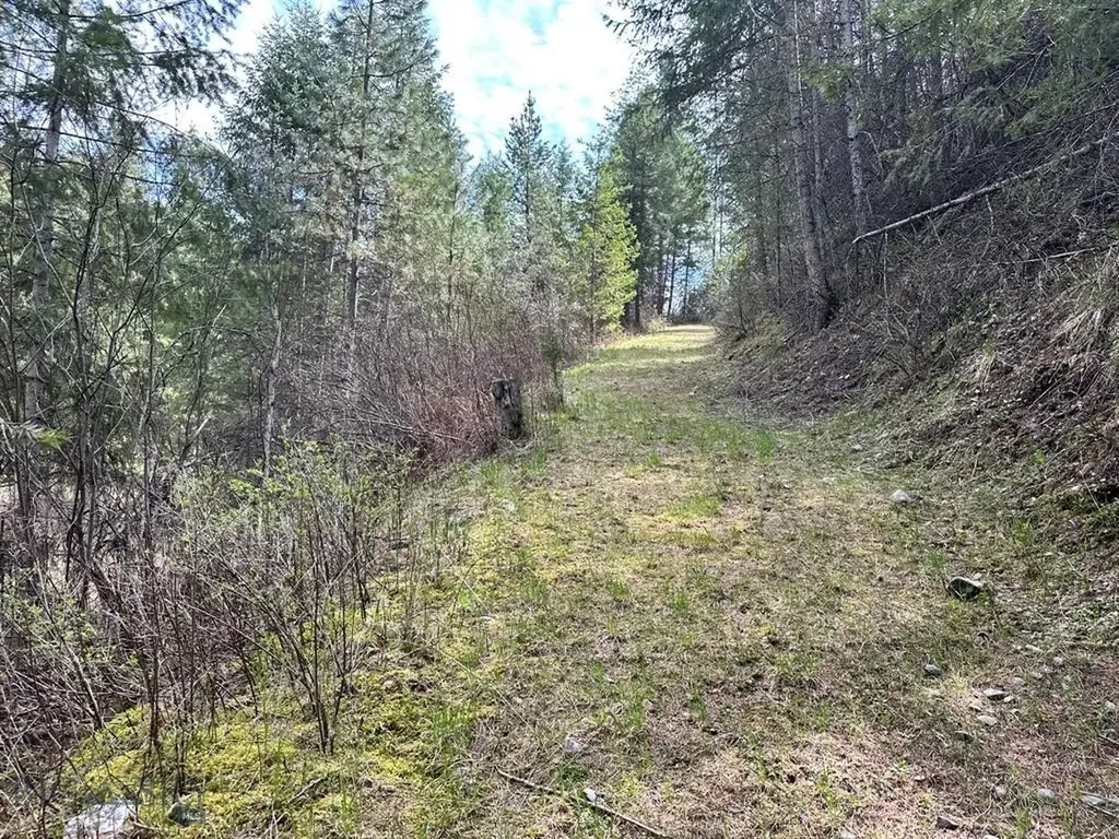 Trout Creek MT 59874