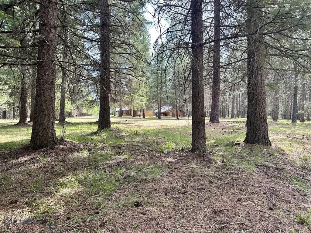 Trout Creek MT 59874
