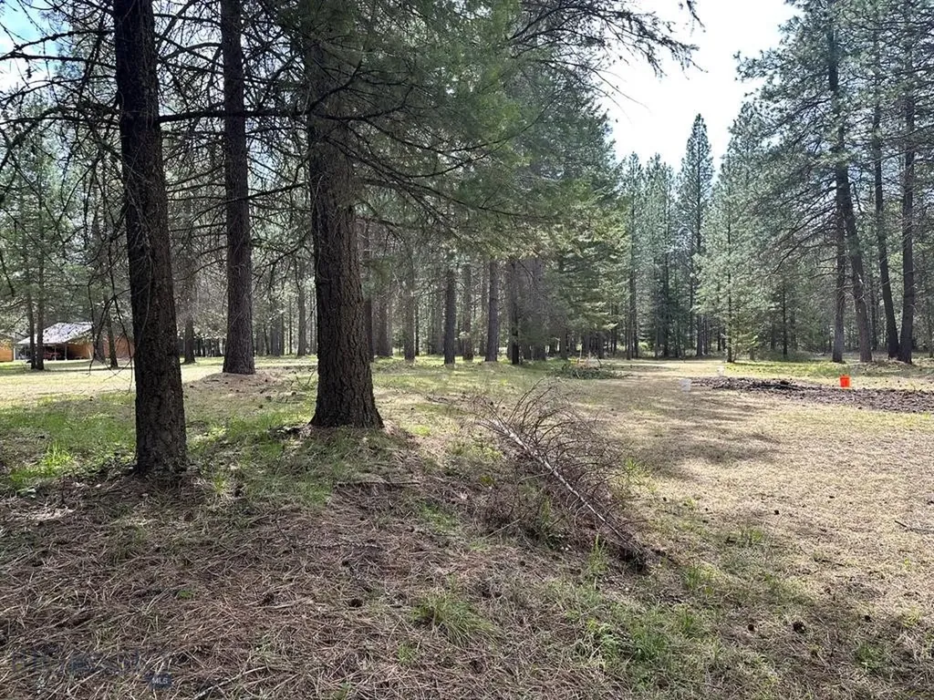 Trout Creek MT 59874